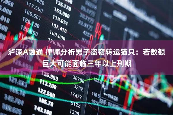 泸深A融通 律师分析男子盗窃转运猫只：若数额巨大可能面临三年以上刑期